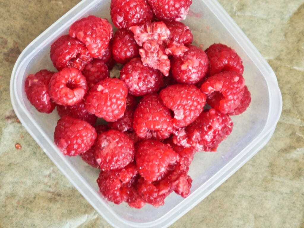 How to Freeze Raspberries - No Fuss Kitchen