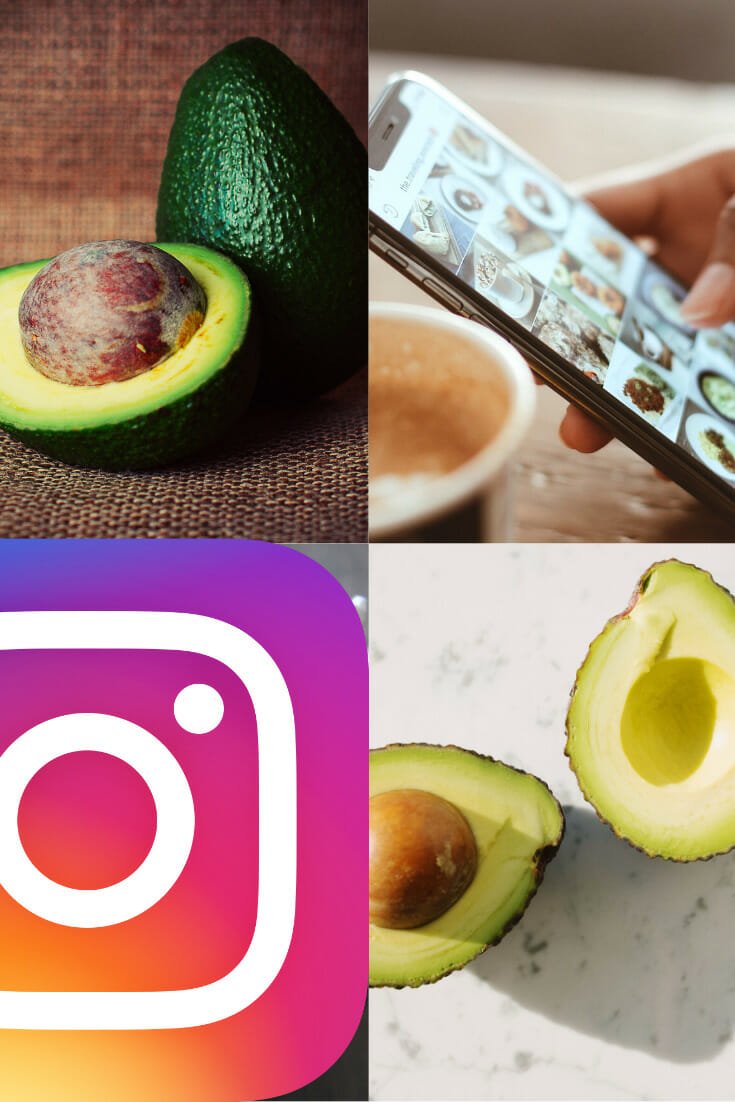 41+ Perfect Avocado Quotes and Avocado Instagram Captions No Fuss Kitchen