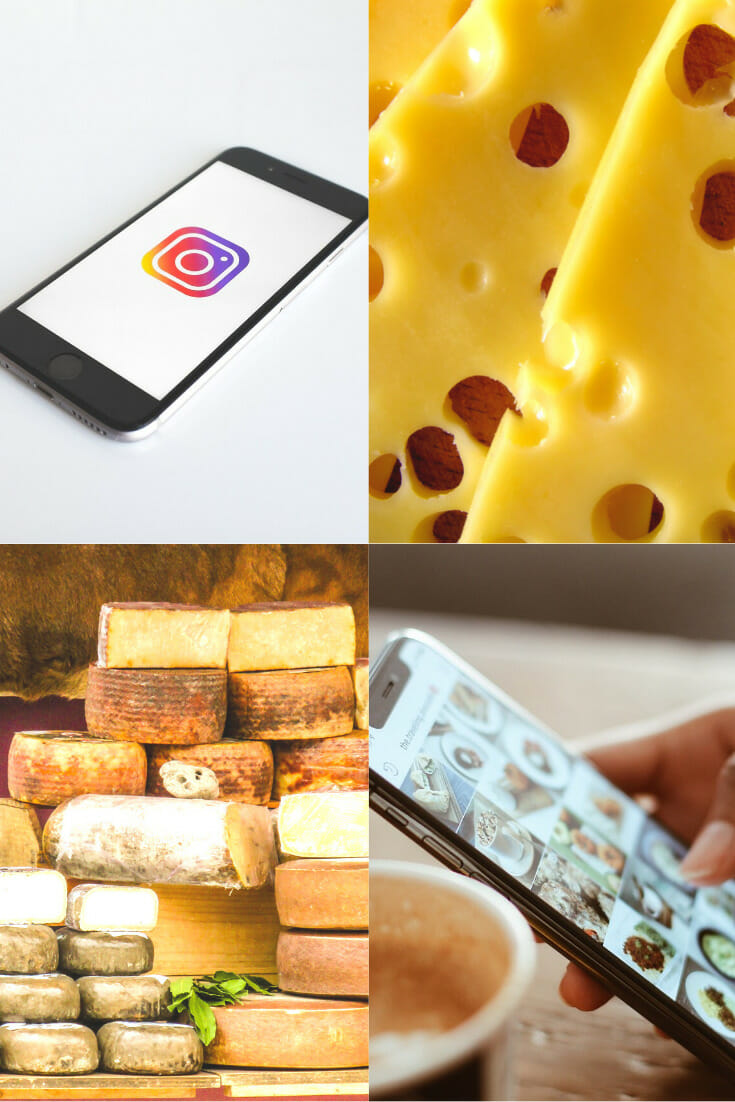 43+ Unique Cheese Quotes and Cheese Instagram Captions No Fuss Kitchen