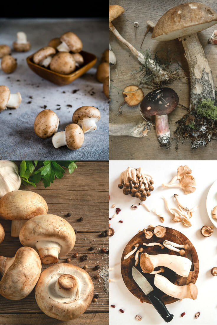 Are Mushrooms Vegetables? The Surprising Answer No Fuss Kitchen