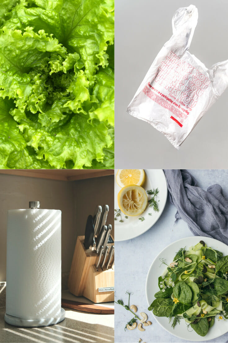 How to Dry Lettuce without a Salad Spinner (super easy!) No Fuss Kitchen