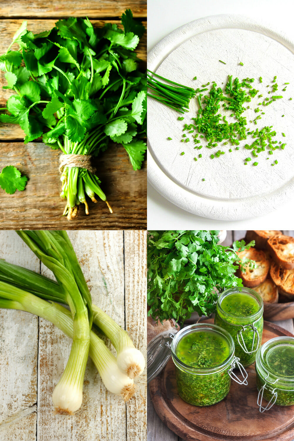 15 Best Cilantro Substitutes for the Perfect Swap No Fuss Kitchen