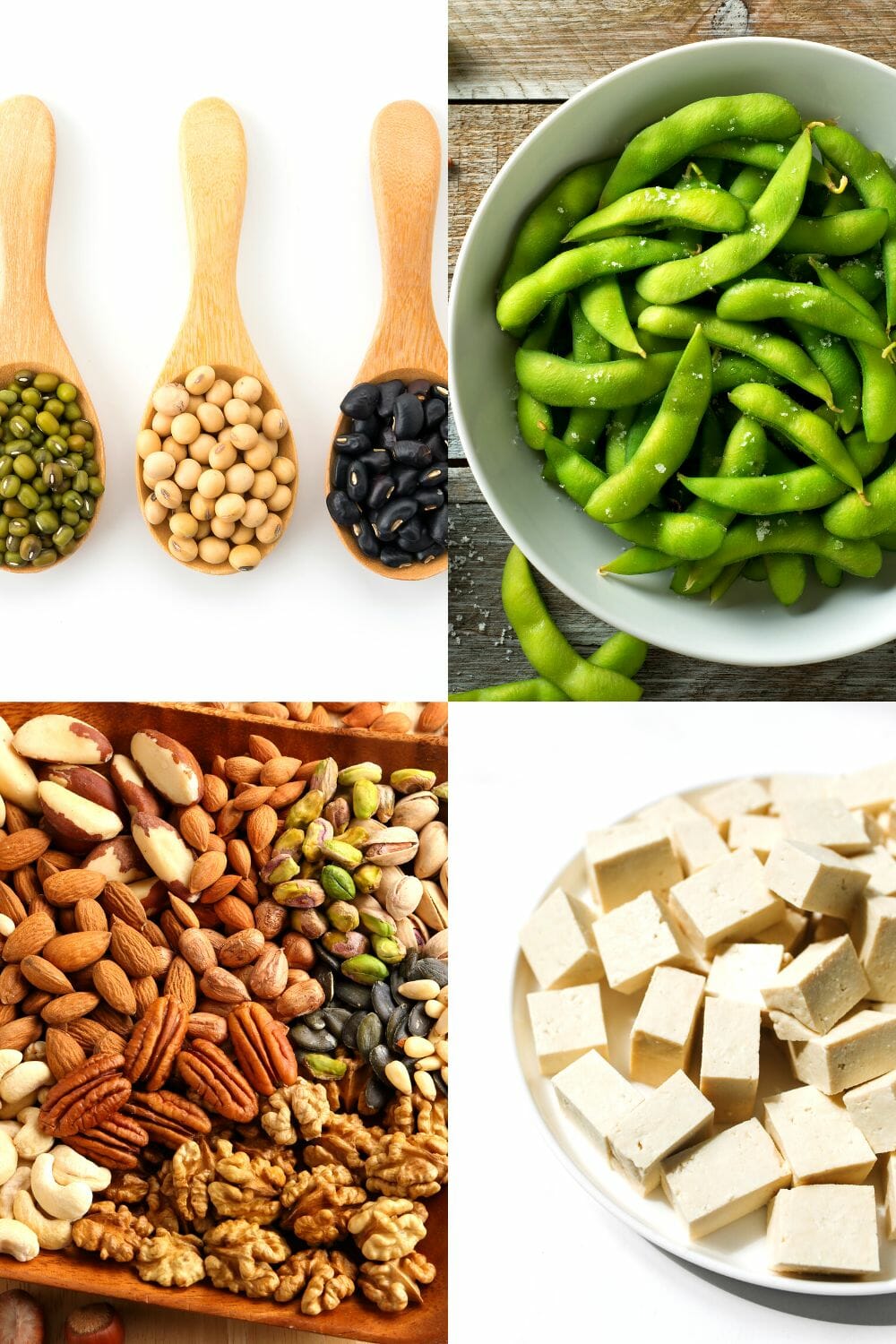 9 Best Substitutes for Beans to Save Your Meal No Fuss Kitchen